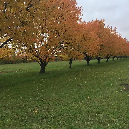 Апартаменты Premium Sonnenaufgang Витценхаузен