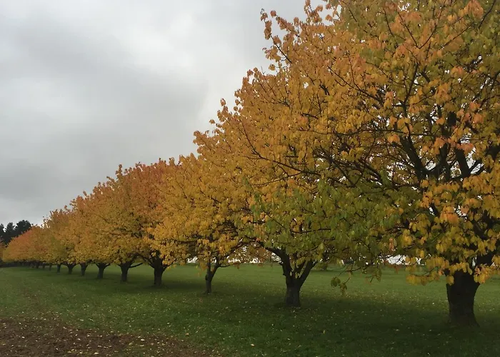 Premium Sonnenaufgang